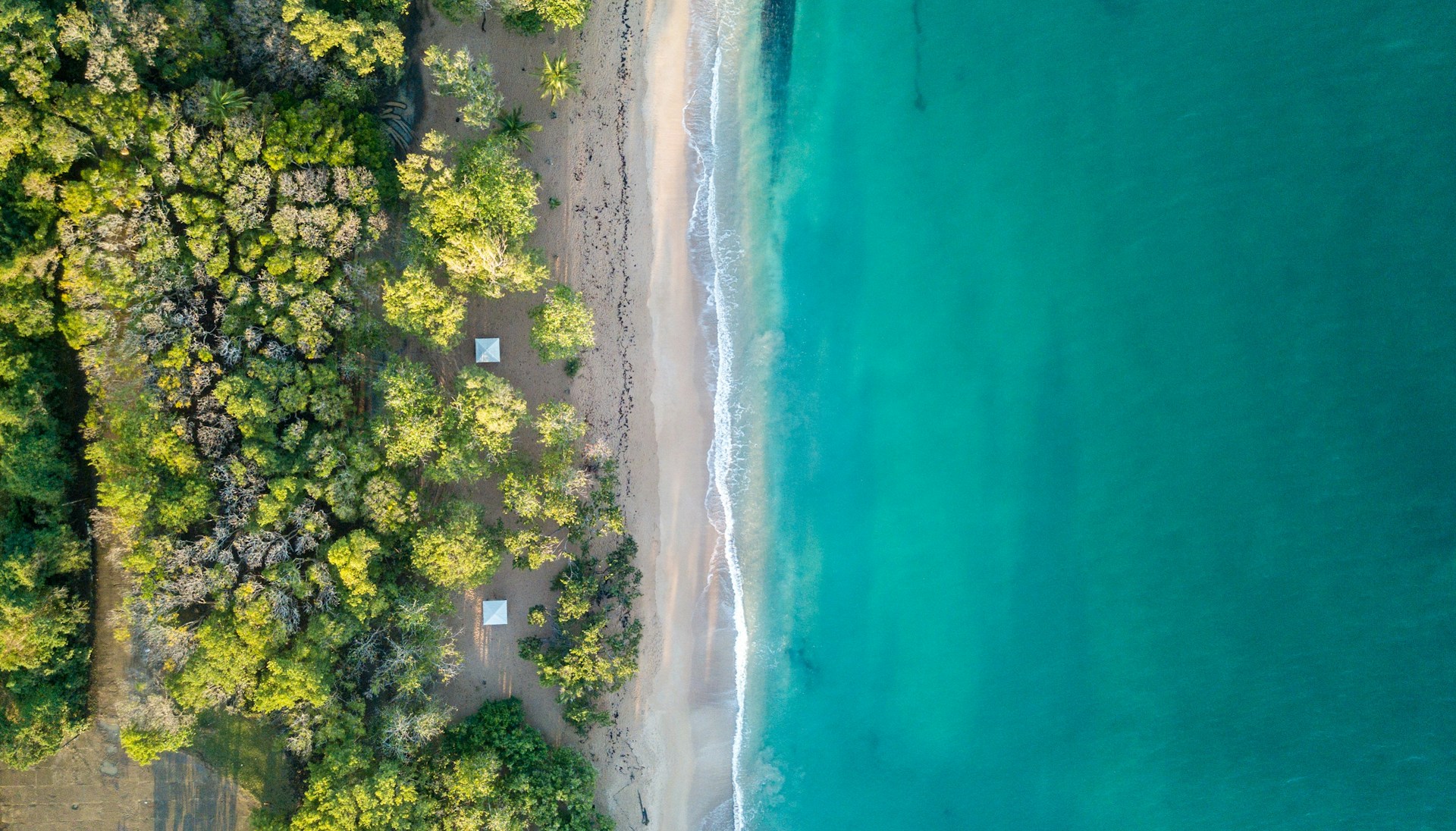 Quand partir en Guadeloupe ?