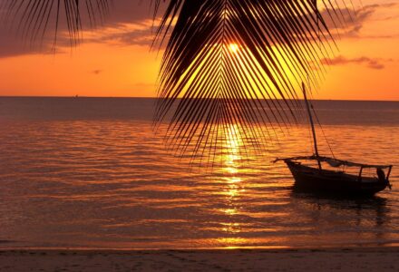 Quand aller à zanzibar ?