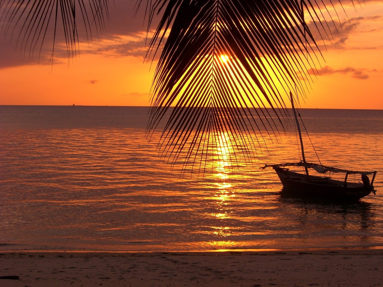 Quand aller à zanzibar ?